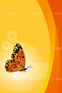Vector floral background with butterfly